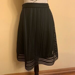 J. Crew Skirt